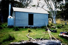 Schofields 1995 - Schofields1995_2.jpg