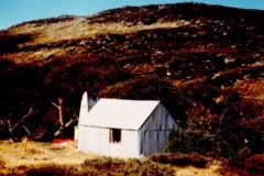 Tin 1989 - Tin1989.jpg