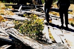 Traces_Hut_Ruin1995
